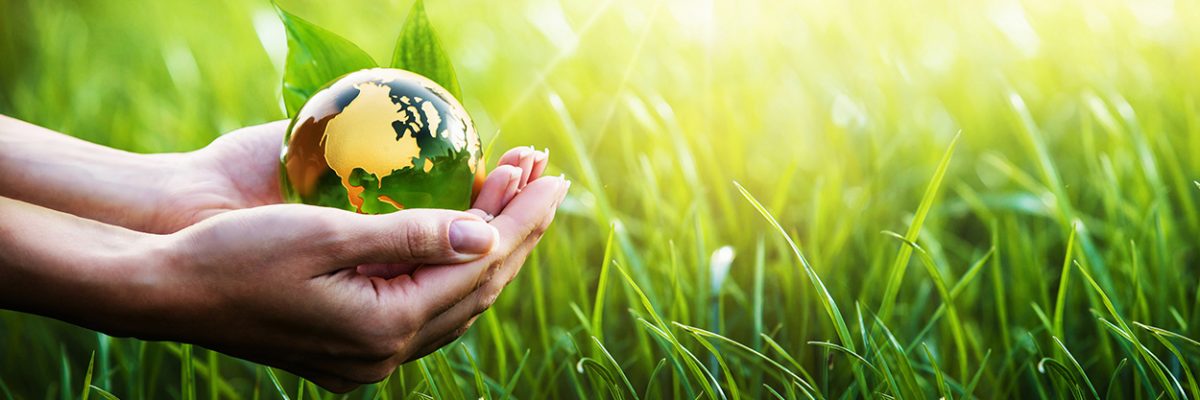 Ambientale_205392734_slider