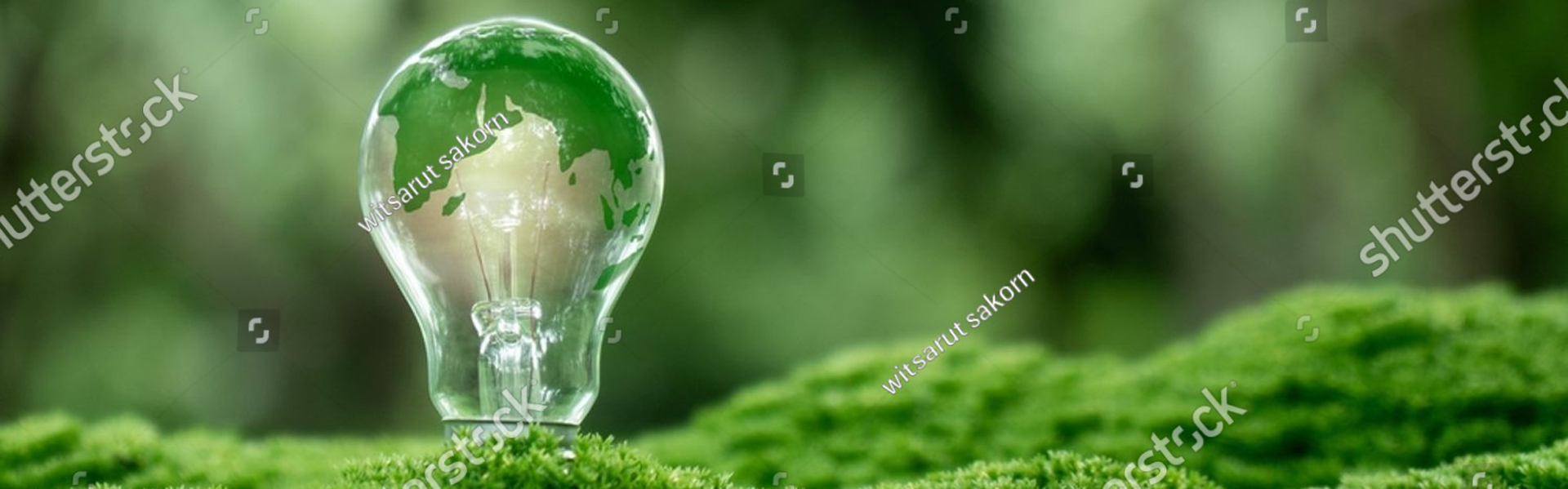 stock-photo-renewable-energy-green-world-map-on-the-light-bulb-on-green-background-environmental-protection-2482880409-edited2